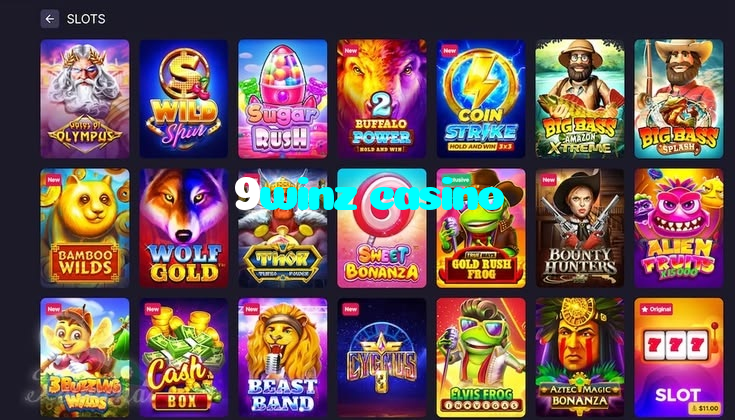 making first deposit on 9winz casino website using local payment methods in Pakistan